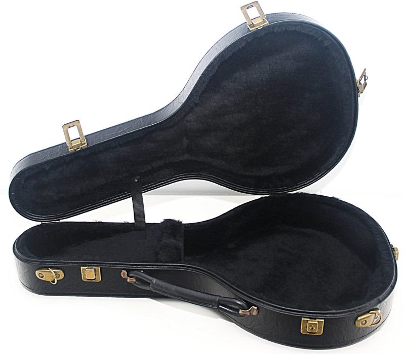 ESTUCHE RÍGIDO LAUD-0