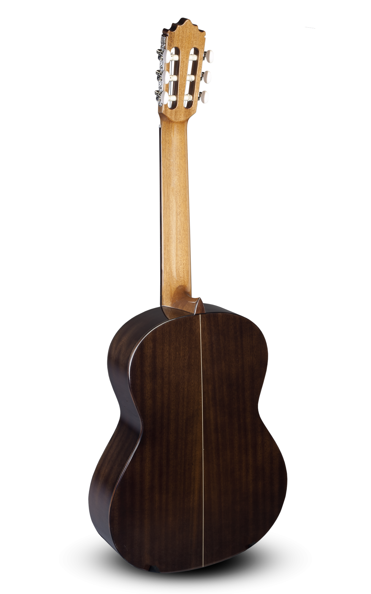PACO CASTILLO 202 SAPELLY-19456