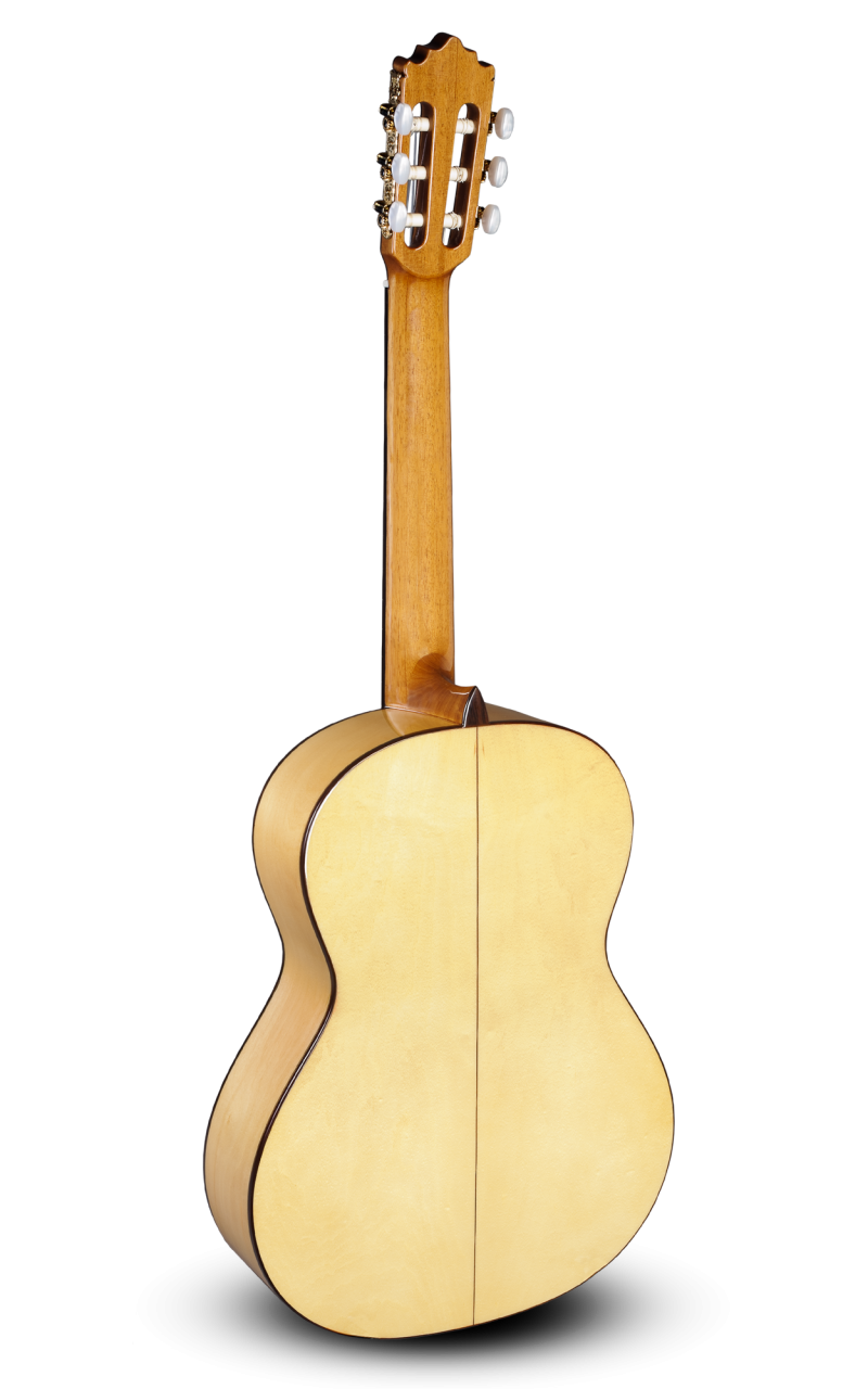 PACO CASTILLO 213F ARCE-19475