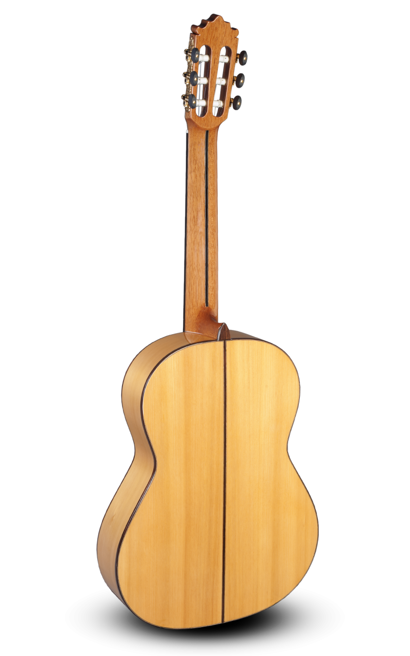 PACO CASTILLO 215F CIPRÉS-19482