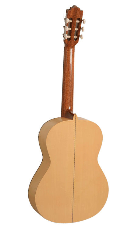 PACO CASTILLO 211F SICOMORO-19473