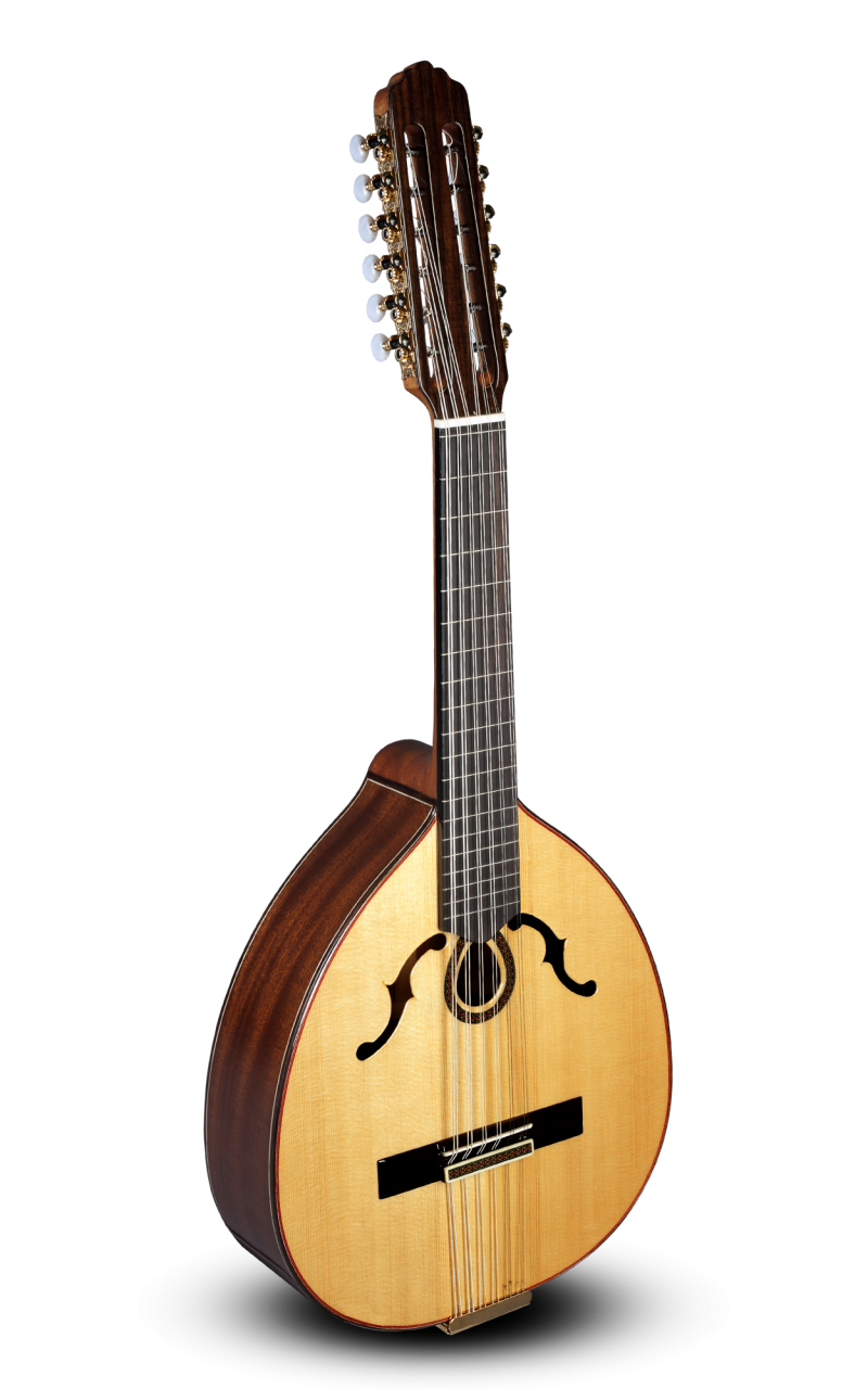 PACO CASTILLO L4 SAPELLY-19411