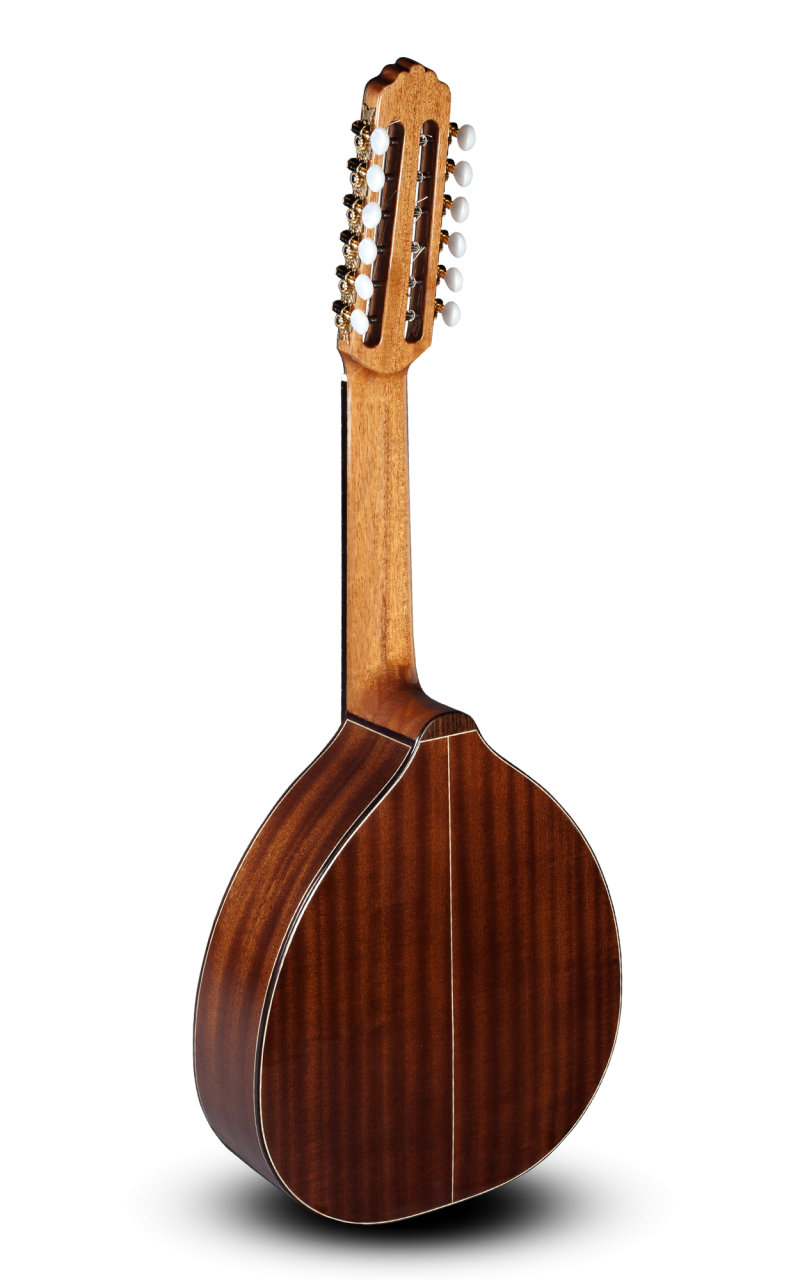 PACO CASTILLO L4 SAPELLY-19409